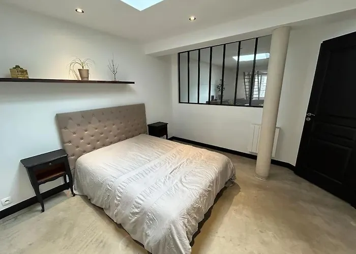 Appartement Loft Laval Centre