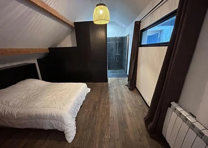 Appartement Loft Laval Centre