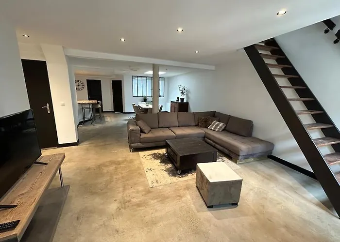 Appartement Loft Laval Centre