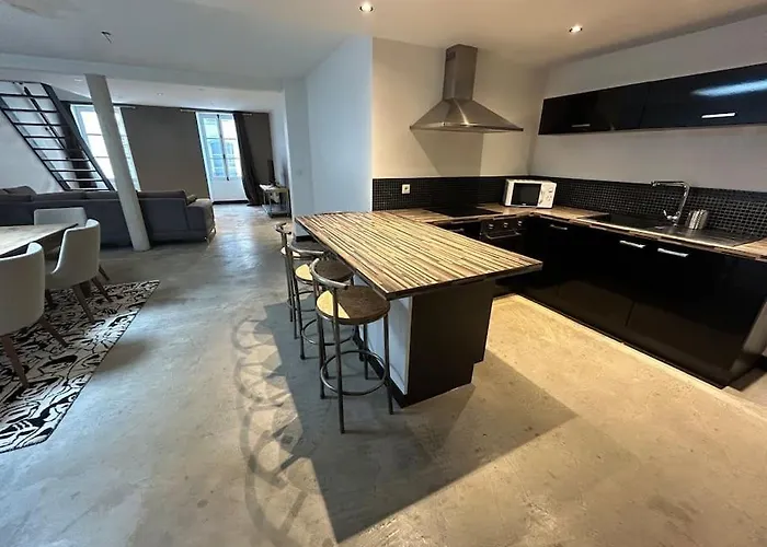 Appartement Loft Laval Centre